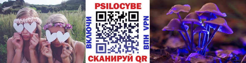 Галлюциногенные грибы прущие грибы  цена   гидра ссылка  Алейск 